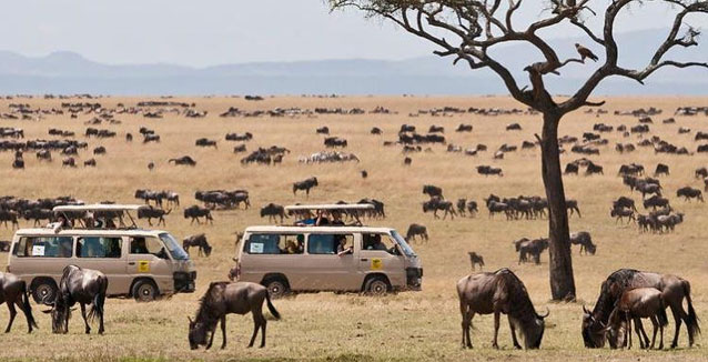 MAASAI MARA