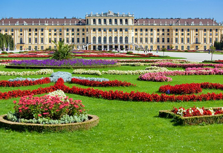 City tour and Schönbrunn Palace Vienna